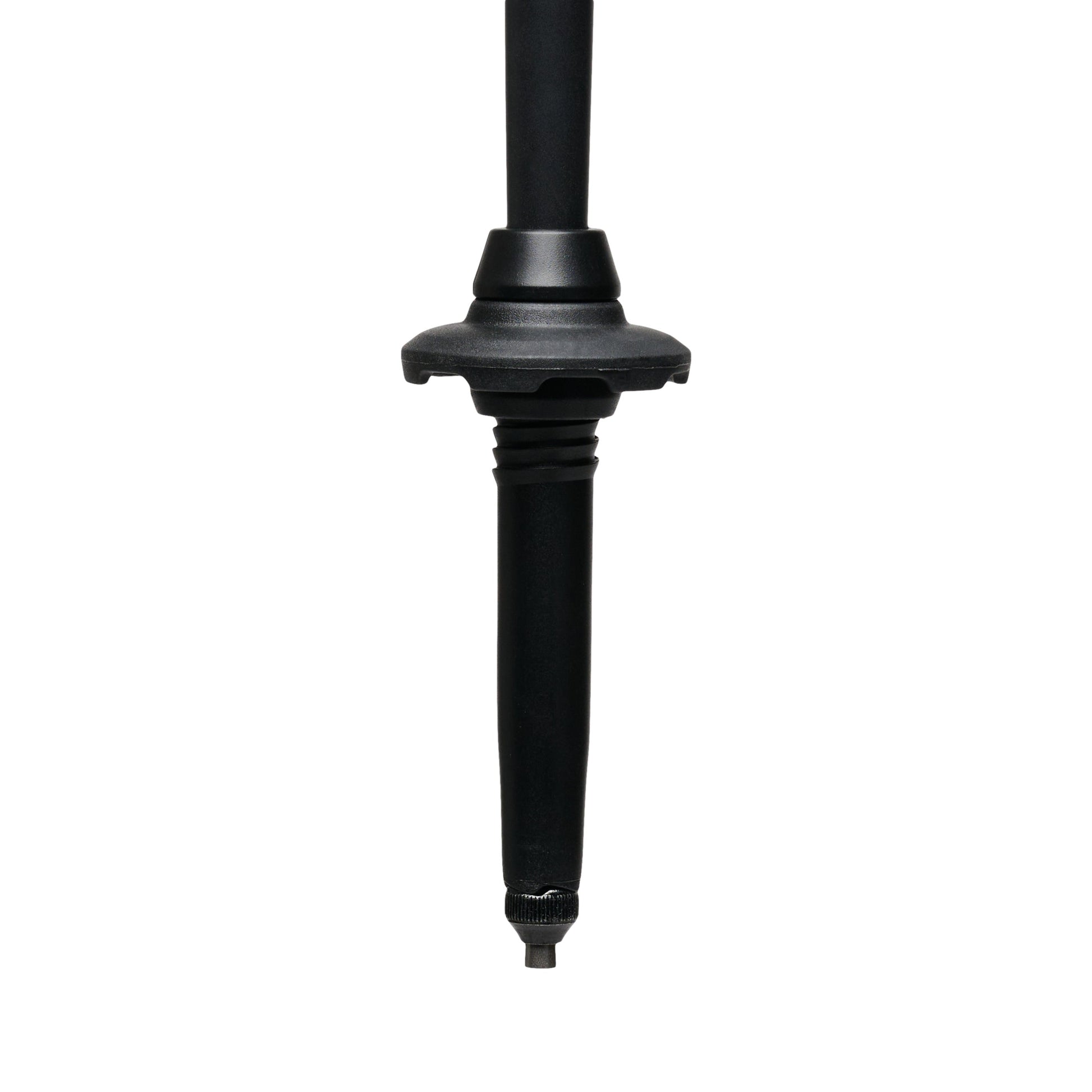 Black Diamond Alpine Carbon Cork Trekking Poles