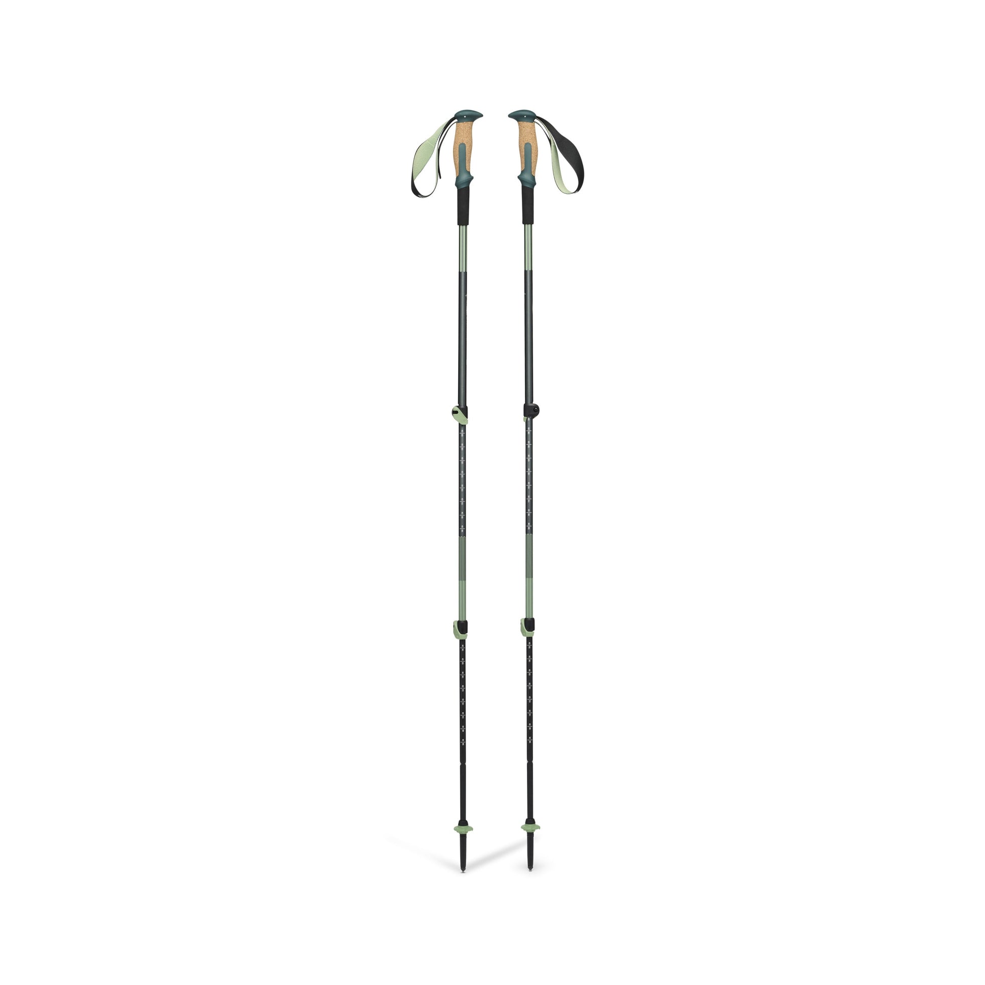 Black Diamond Trail Vista Shock Trekking Poles