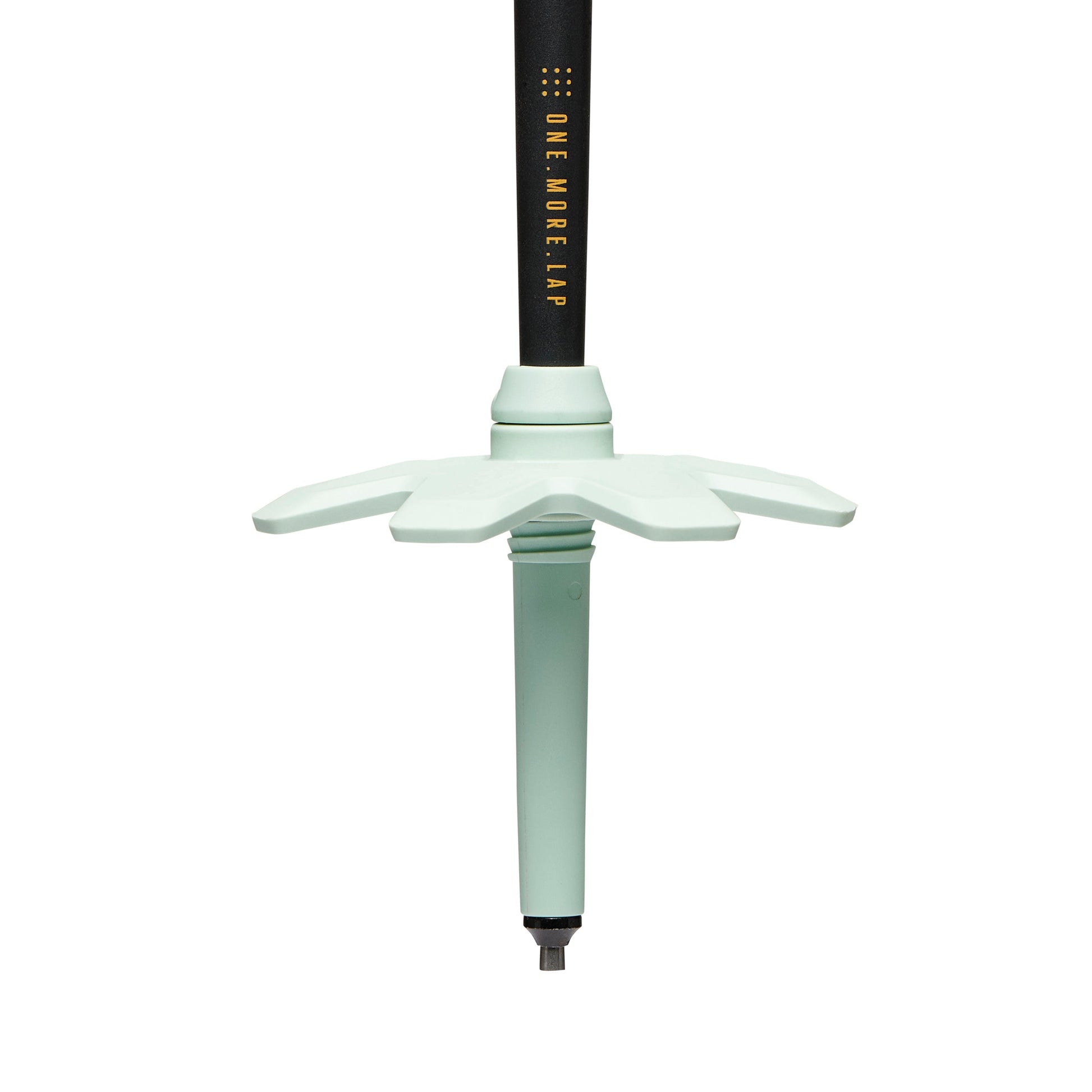 Black Diamond Traverse Pro Ski Poles
